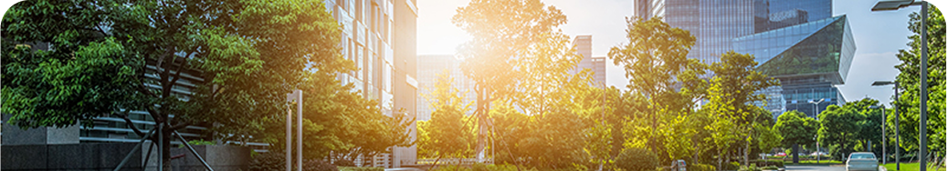 Wissensportal Vorschaubild